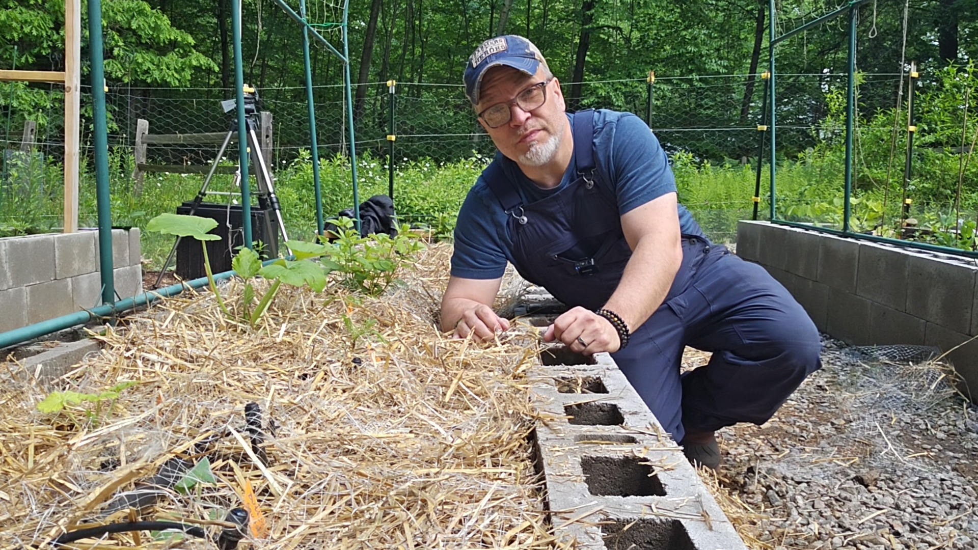 Best Mulch for Vegetable Gardens — How to Stop Losing Soil Moisture All Summer
