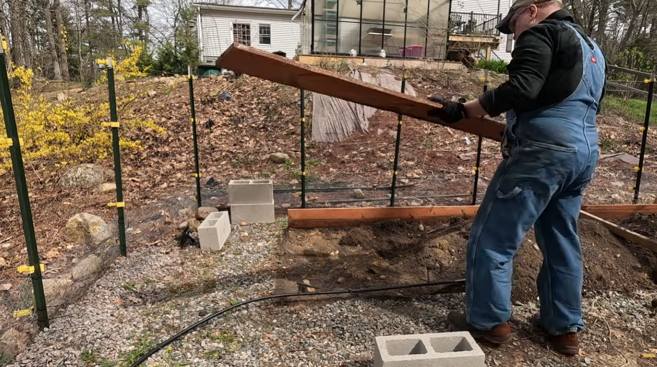 Removing old wooden raised bed boards before the rebuild